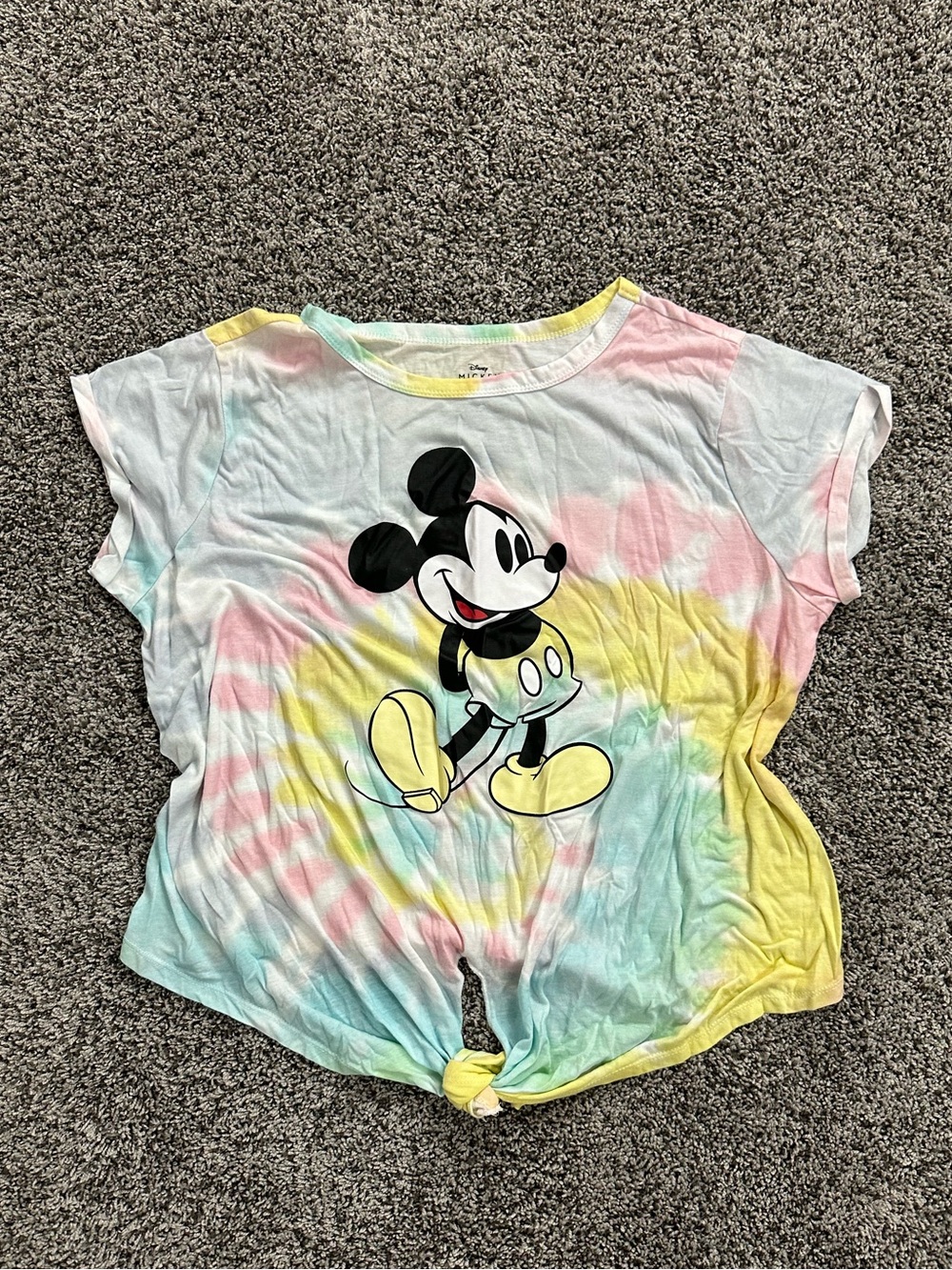 Disney Mickey Mouse T-Shirt (1X)